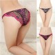 Culotte Léopard Sauvage