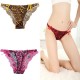 Culotte Léopard Sauvage
