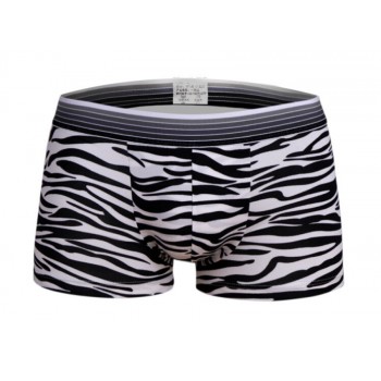 Boxer uomo zebra print