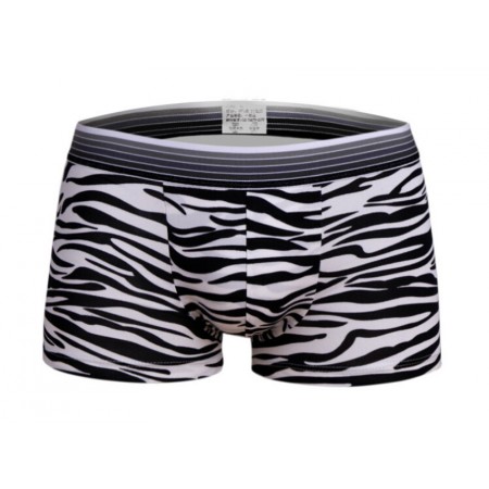 Boxer man zebra print