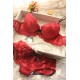 Perizoma e reggiseno Sexy (coppa B)